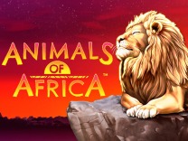animals of africa